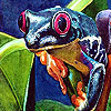 Colorful lake frogs puzzle